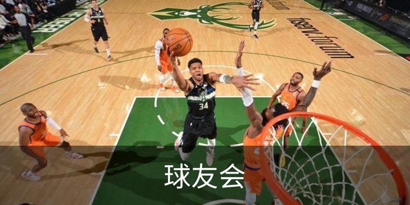 球友会概况